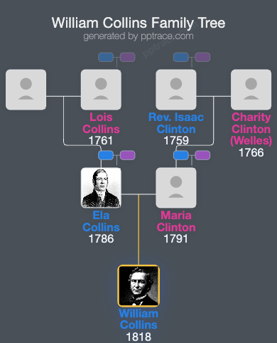 William Collins family tree overview