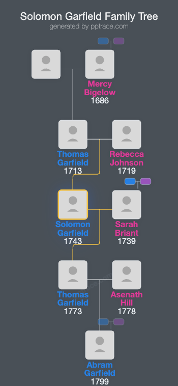 Solomon Garfield family tree overview