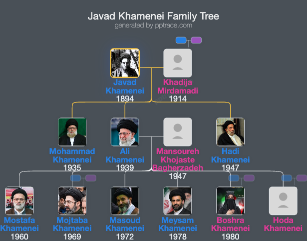 Javad Khamenei family tree overview