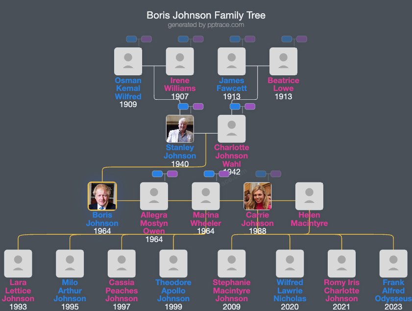Boris Johnson family tree overview
