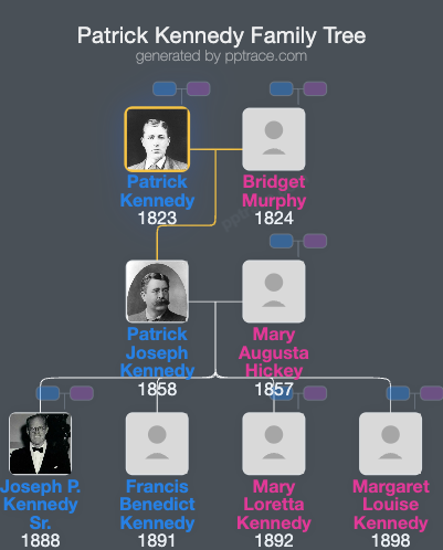 Patrick Kennedy family tree overview