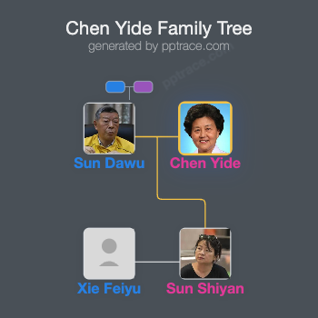 Chen Yide family tree overview