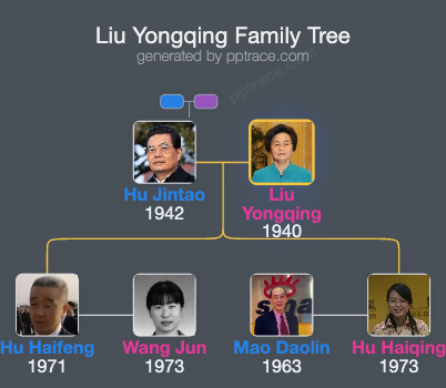Liu Yongqing family tree overview