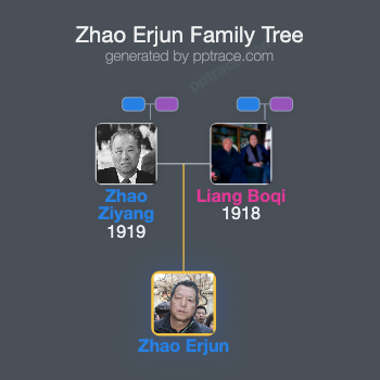 Zhao Erjun family tree overview