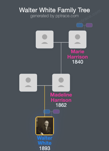 Walter White family tree overview