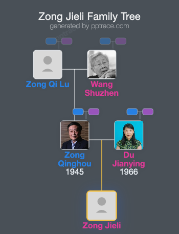 Zong Jieli family tree overview