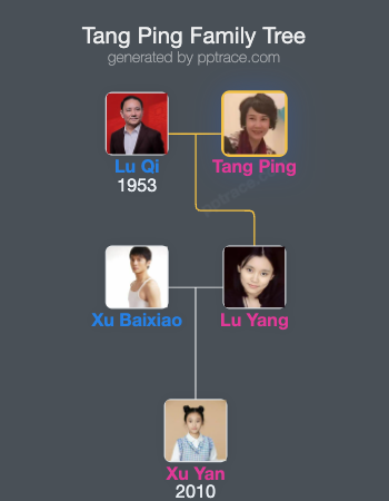 Tang Ping family tree overview
