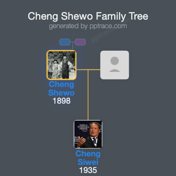 Cheng Shewo family tree overview