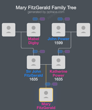 Mary FitzGerald family tree overview