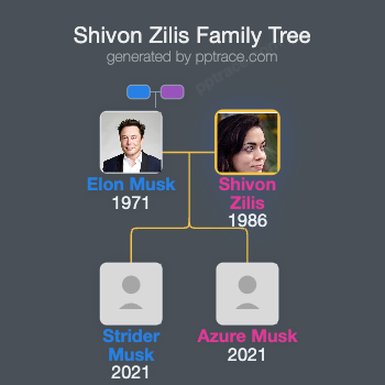 Shivon Zilis family tree overview