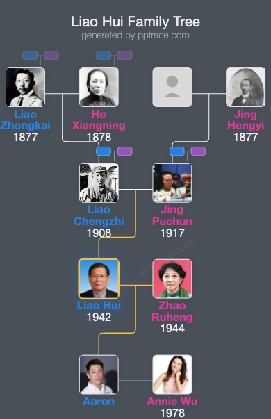 Liao Hui family tree overview