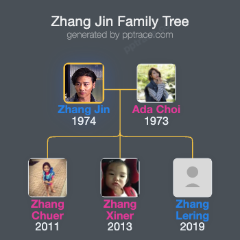 Zhang Jin family tree overview