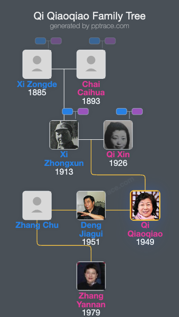Qi Qiaoqiao family tree overview