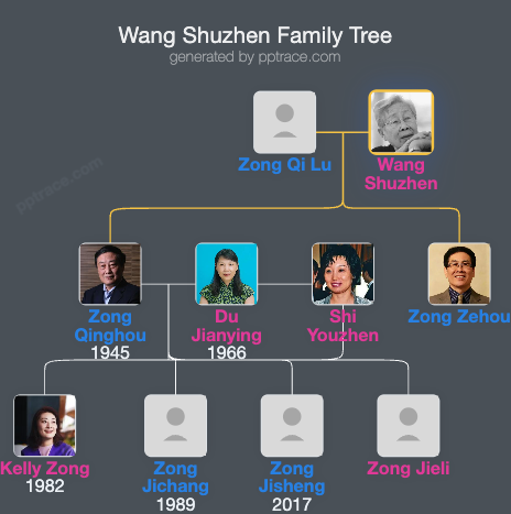 Wang Shuzhen family tree overview