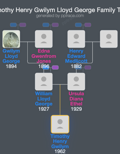Timothy Henry Gwilym Lloyd George family tree overview