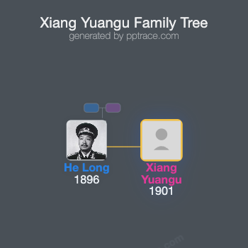 Xiang Yuangu family tree overview