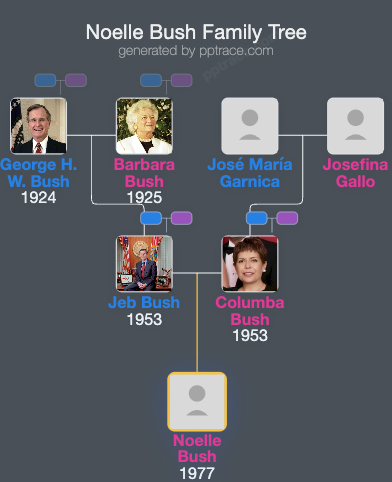 Noelle Bush family tree overview