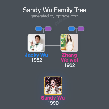 Sandy Wu family tree overview