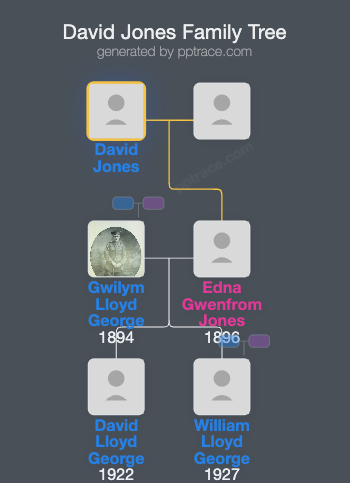 David Jones family tree overview