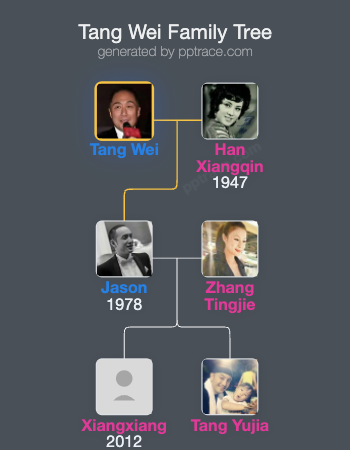 Tang Wei family tree overview