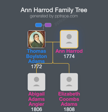 Ann Harrod family tree overview
