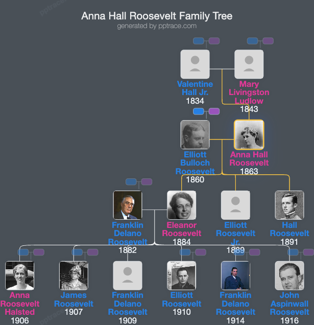 Anna Hall Roosevelt family tree overview