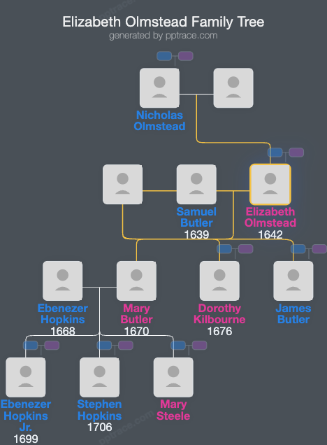 Elizabeth Olmstead family tree overview