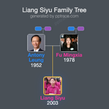 Liang Siyu family tree overview