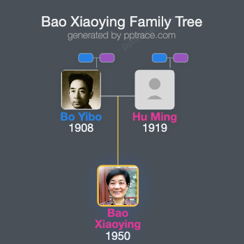 Bao Xiaoying family tree overview