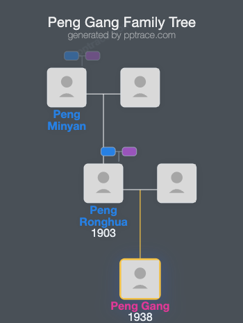 Peng Gang family tree overview