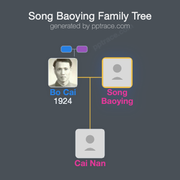 Song Baoying family tree overview