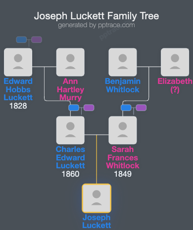 Joseph Luckett family tree overview
