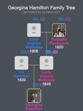 Georgina Hamilton family tree overview