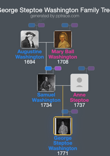 George Steptoe Washington family tree overview
