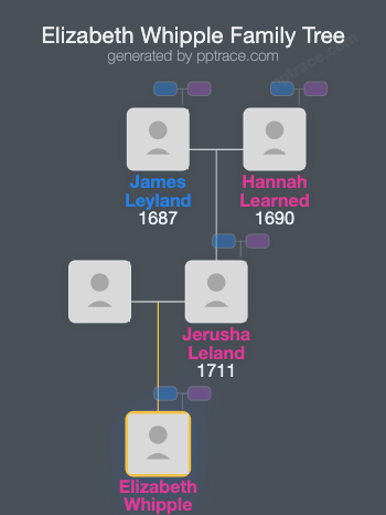Elizabeth Whipple family tree overview