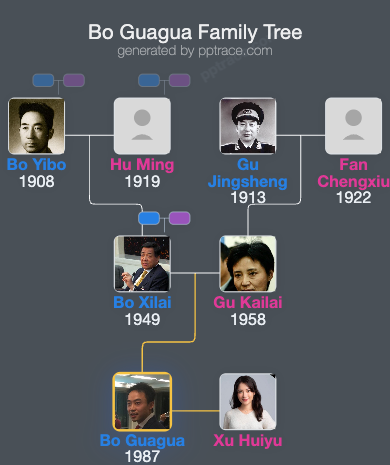 Bo Guagua family tree overview