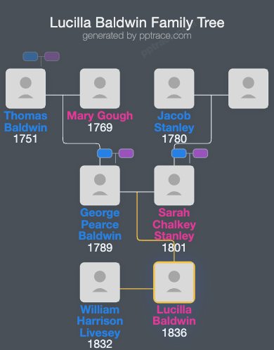 Lucilla Baldwin family tree overview