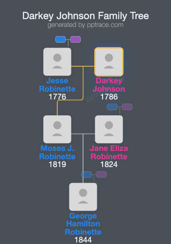 Darkey Johnson family tree overview