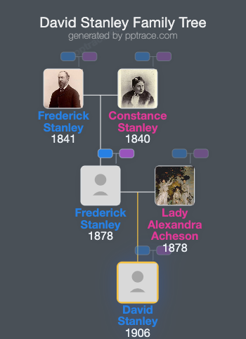 David Stanley family tree overview