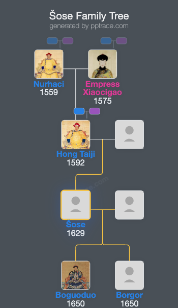 Šose family tree overview