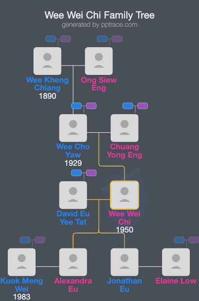 Wee Wei Chi family tree overview