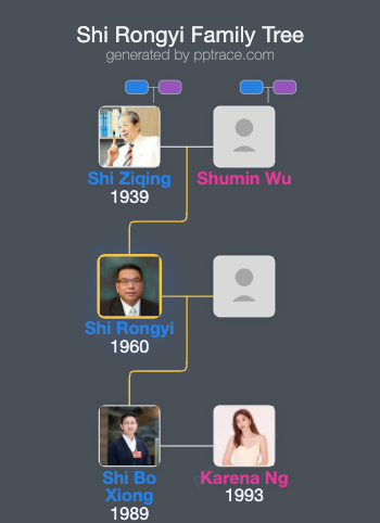 Shi Rongyi family tree overview