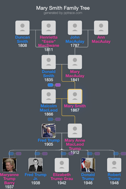 Mary Smith family tree overview