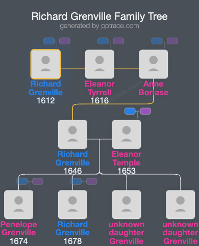 Richard Grenville family tree overview