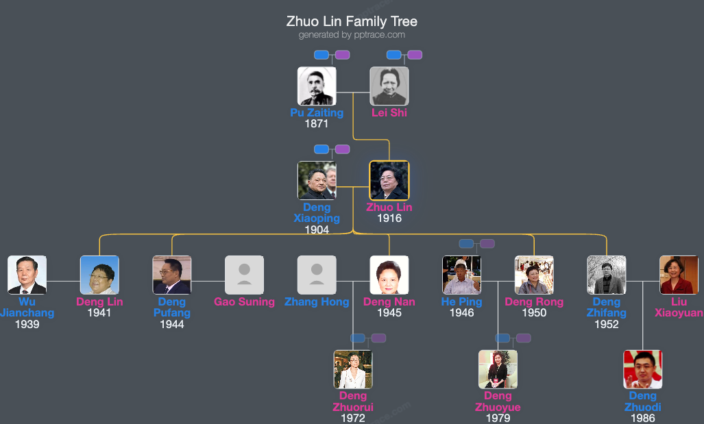 Zhuo Lin family tree overview