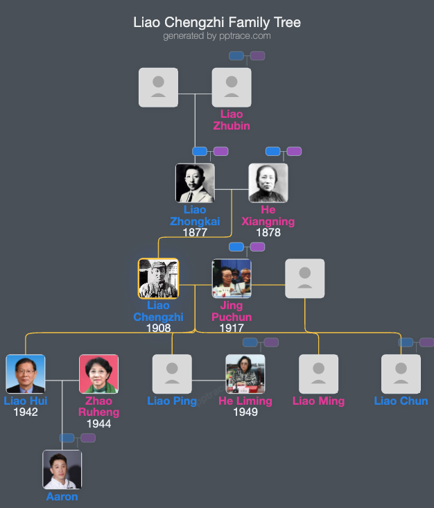 Liao Chengzhi family tree overview