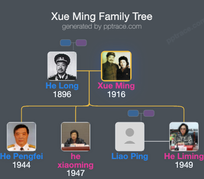 Xue Ming family tree overview