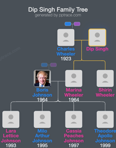 Dip Singh family tree overview