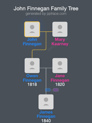 John Finnegan family tree overview