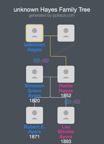 Unknown Hayes family tree overview